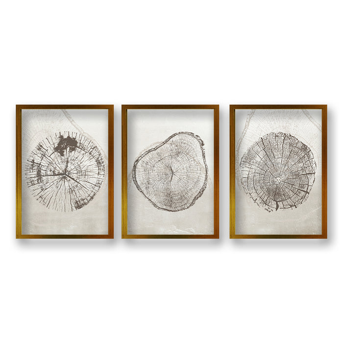 Cuadro Trio Núcleo Arbóreo