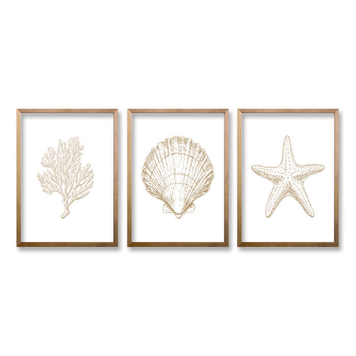 Cuadro Trio Exhibición Marina