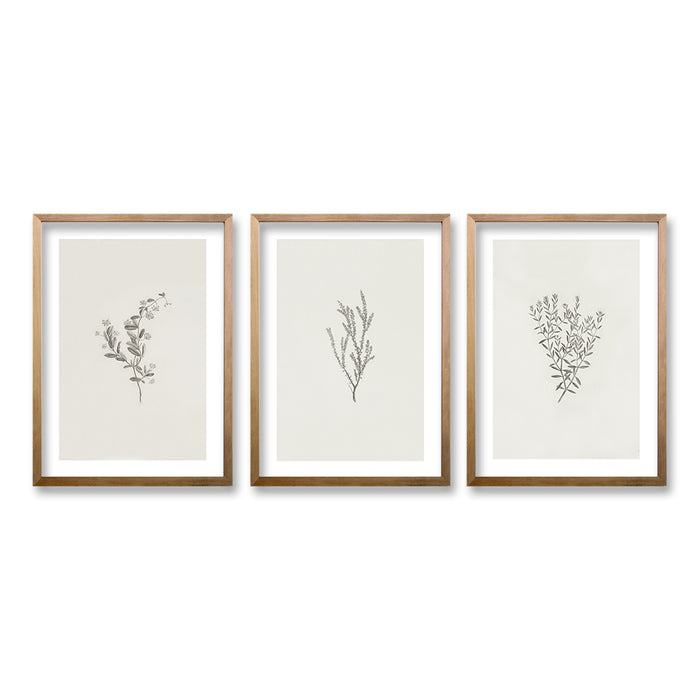 Cuadro Trio Minimal Plants