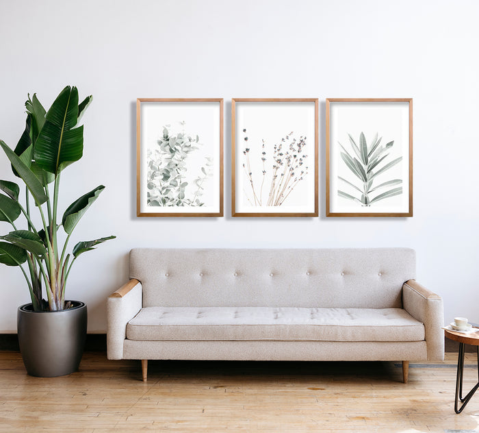 Cuadro Trio Inflorescencia