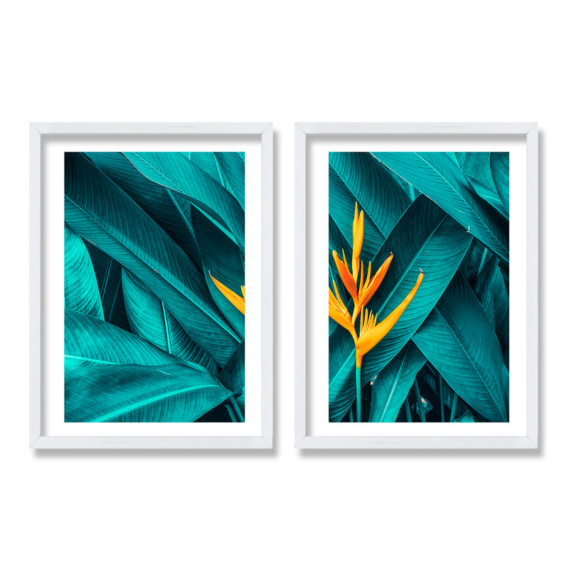 Cuadro Duo Flor de Paraiso