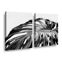 Canvas Modelo 741