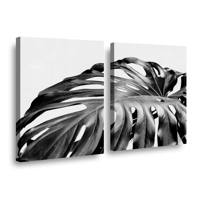 Canvas Modelo 741
