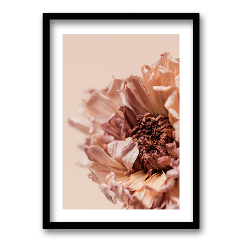 Cuadro Flor Seca