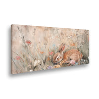 Canvas Bunny