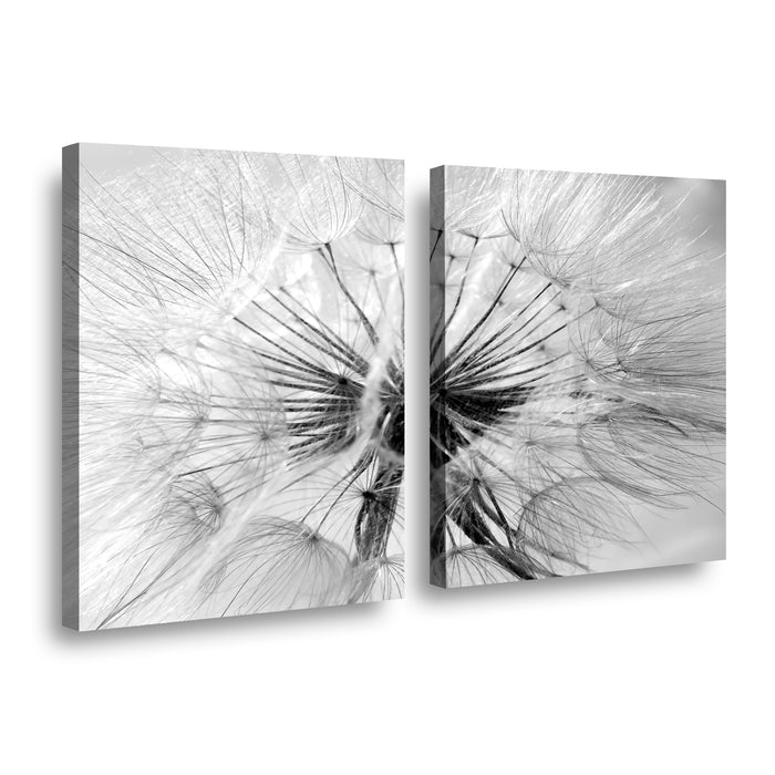 Canvas Modelo 744