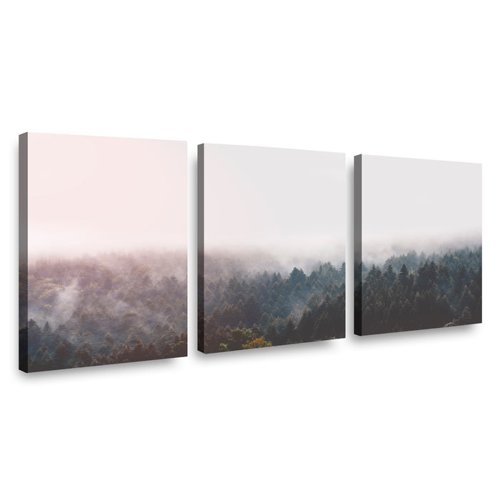 Canvas Modelo 628