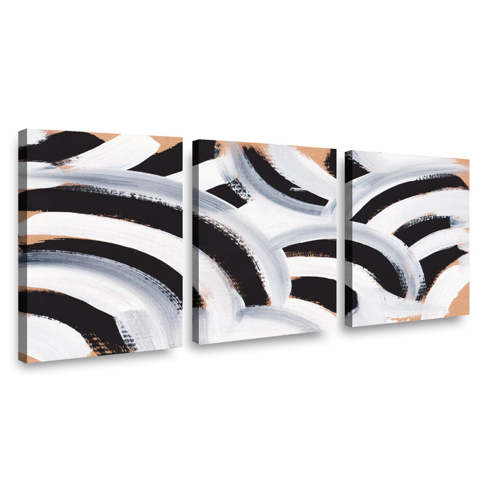 Canvas Modelo 663