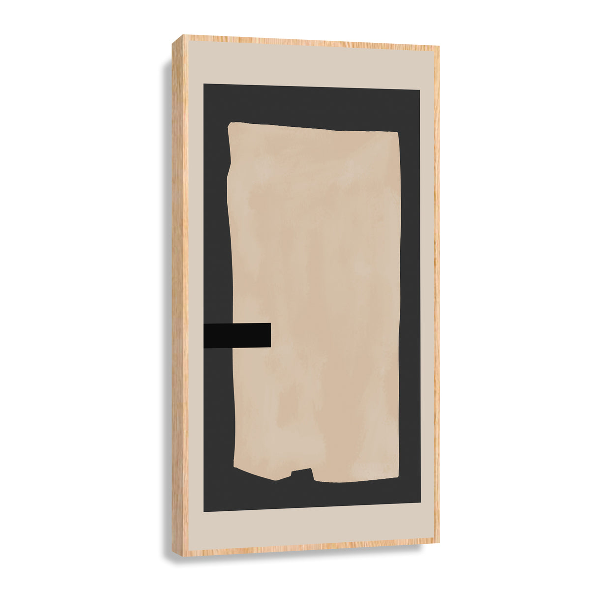 Canvas Modelo 308