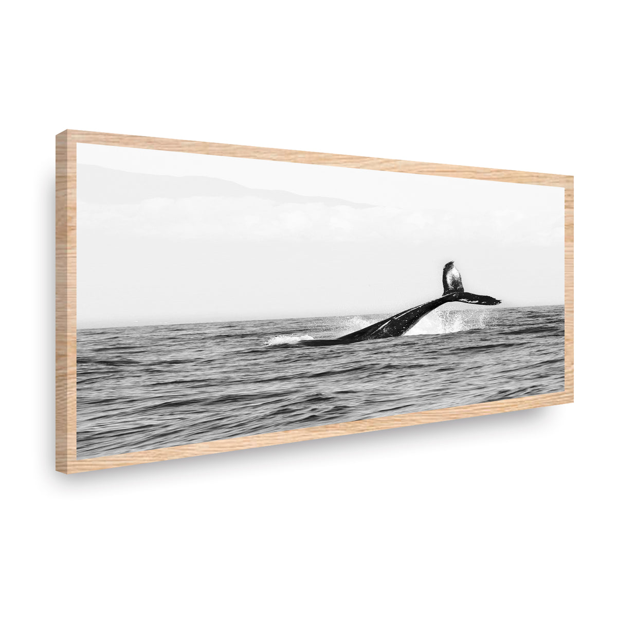 Canvas Modelo 311