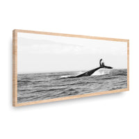 Canvas Modelo 311