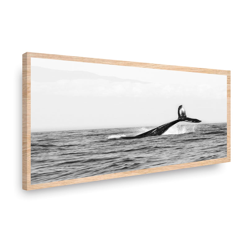 Canvas Modelo 311