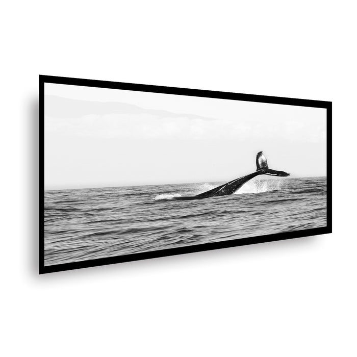 Canvas Modelo 311