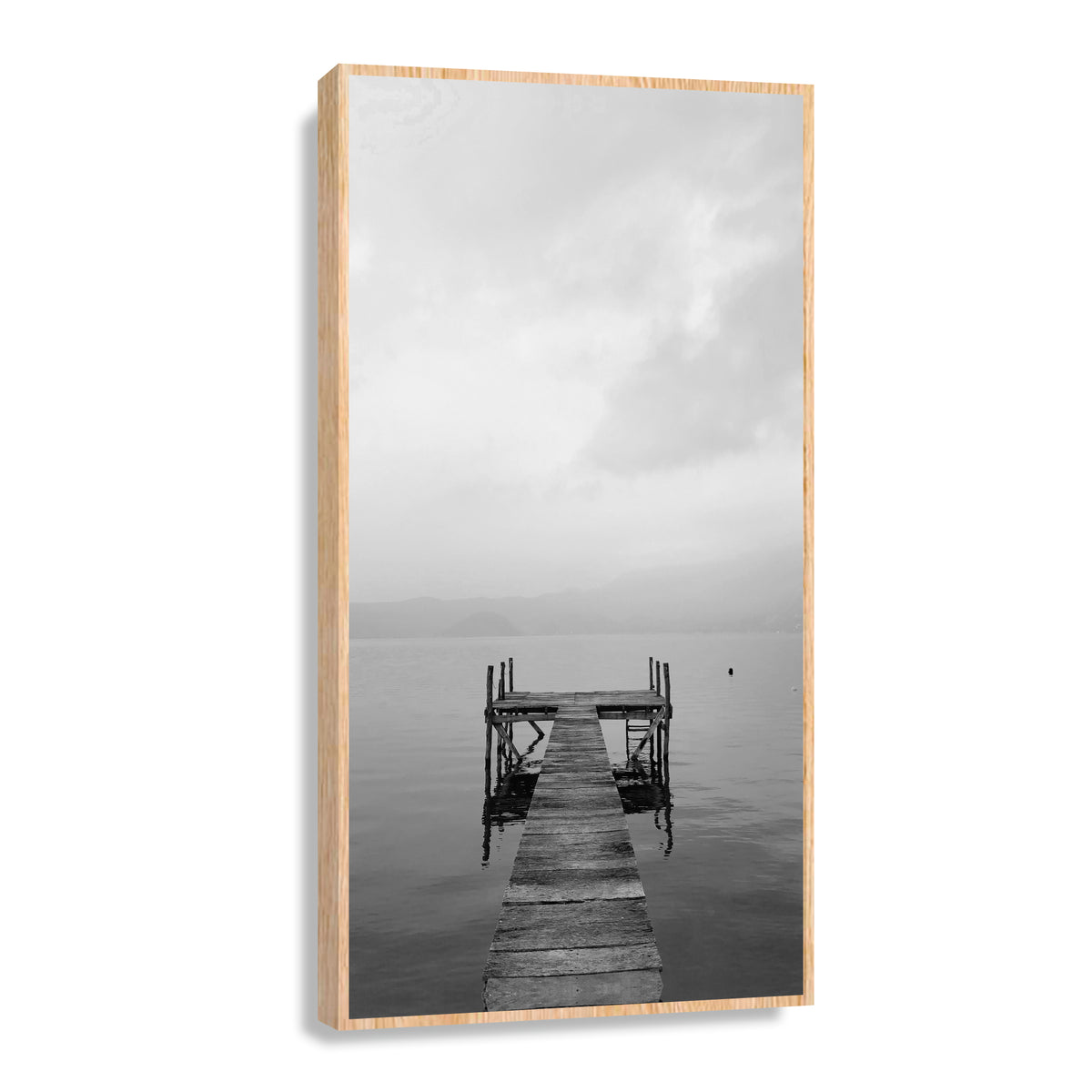 Canvas Modelo 312