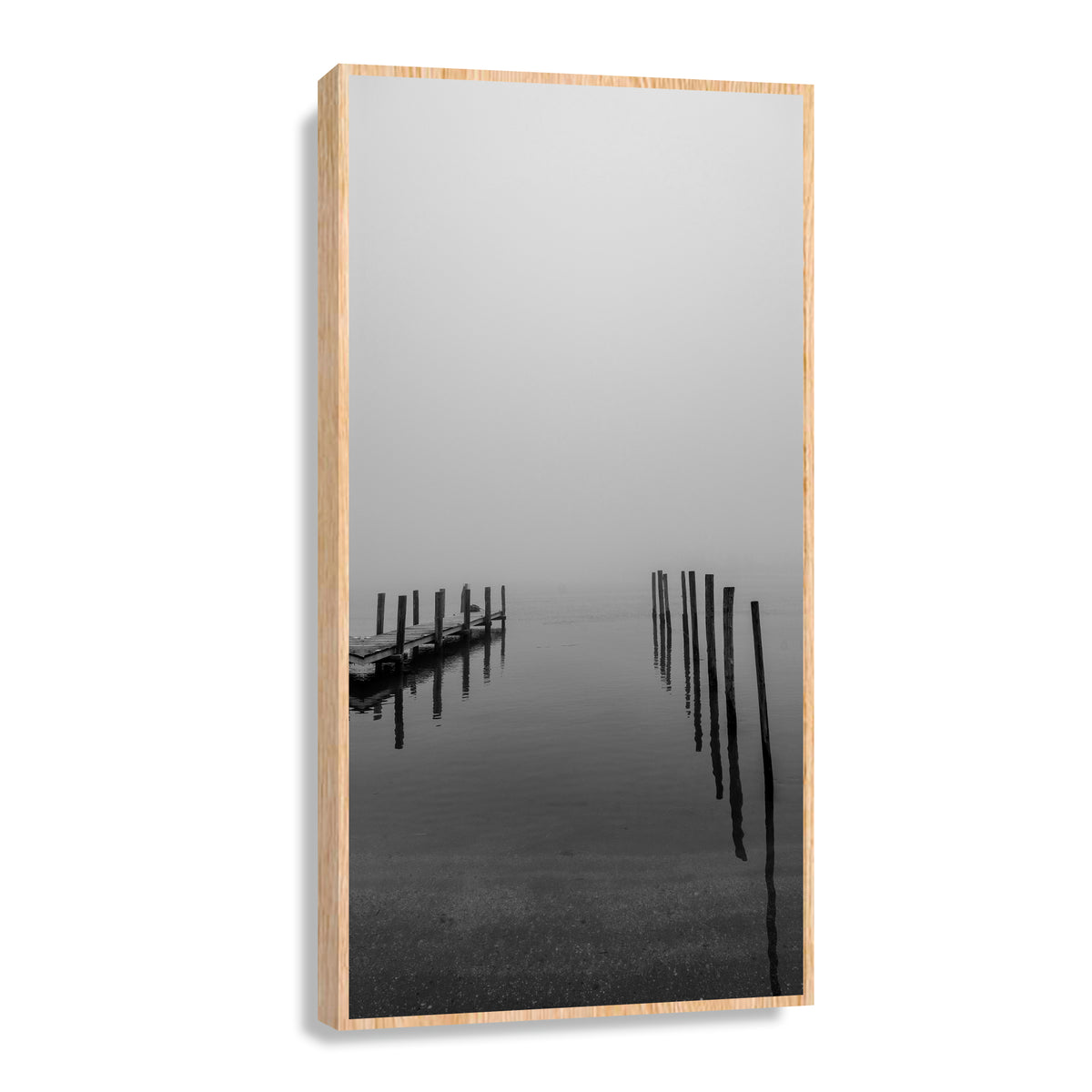 Canvas Modelo 314