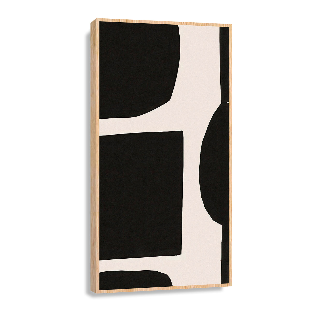 Canvas Modelo 355