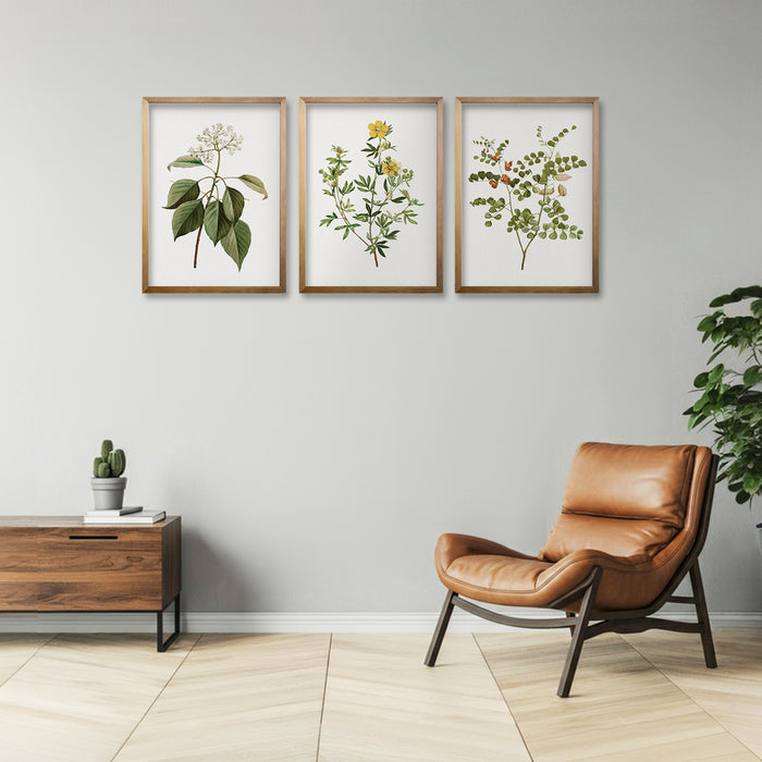 Cuadro Trio Plants