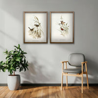 Cuadro Duo Aves Ilustrados II