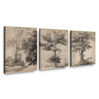 Canvas Trio Majestad del Roble