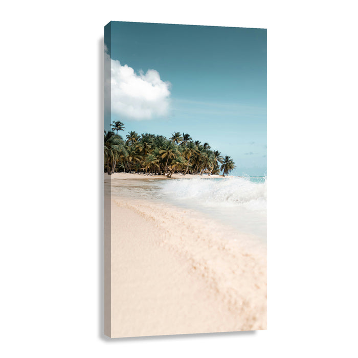 Canvas Modelo 384