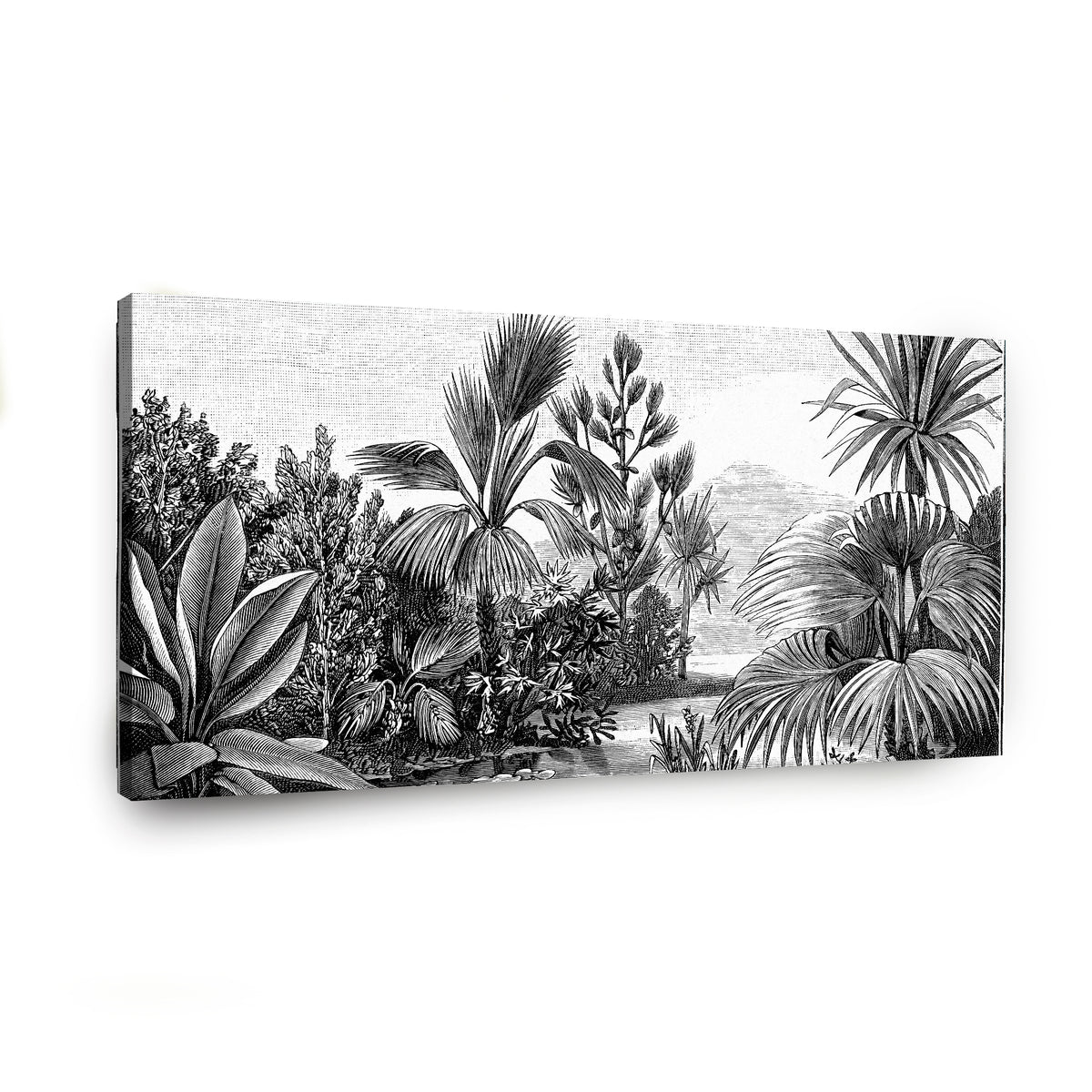 Canvas Modelo 443