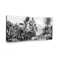Canvas Modelo 443