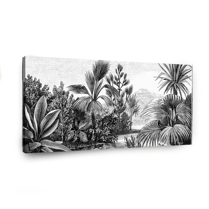 Canvas Modelo 443