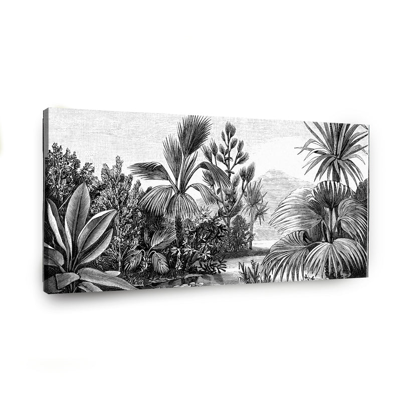 Canvas Modelo 443