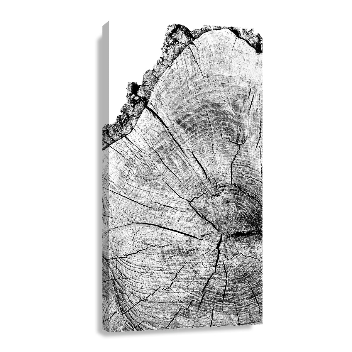 Canvas Pulso del Bosque