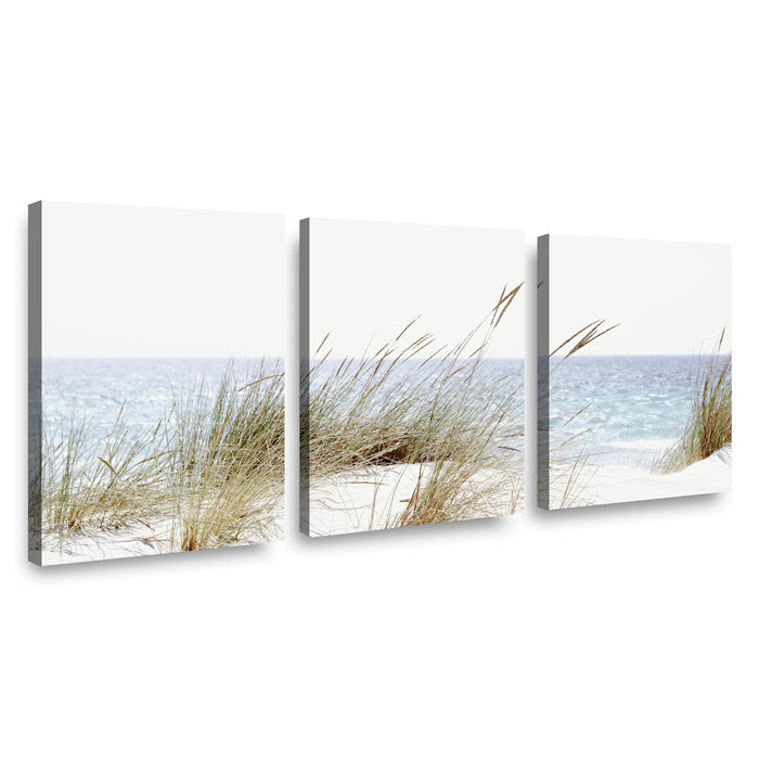 Canvas Modelo 640