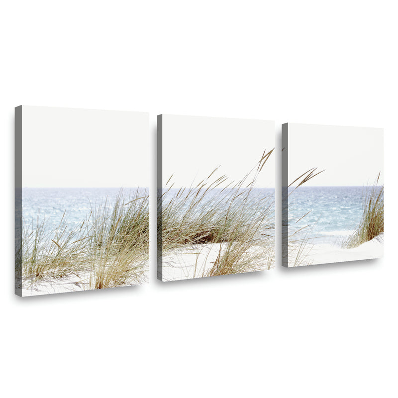Canvas Modelo 640