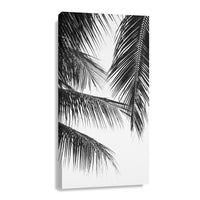 Canvas Modelo 328