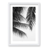 Cuadro Palmera Nocturna