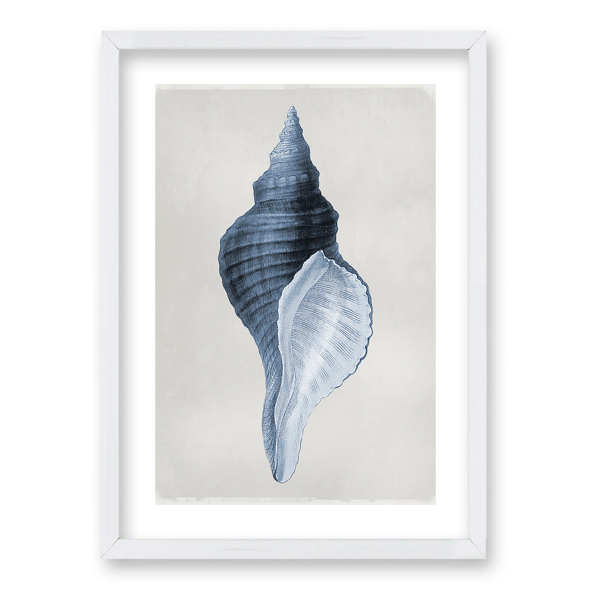 Cuadro Blue Shell