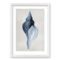 Cuadro Blue Shell