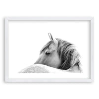 Cuadro White Horse