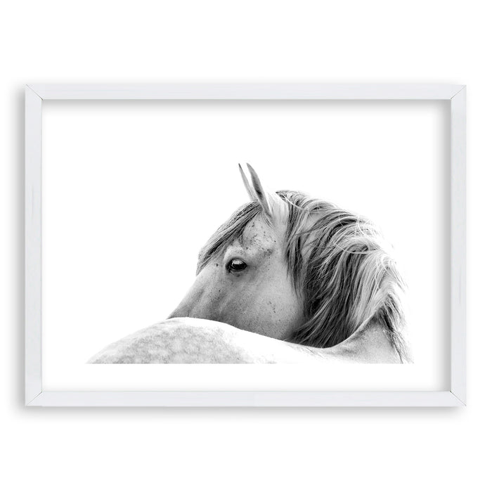 Cuadro White Horse