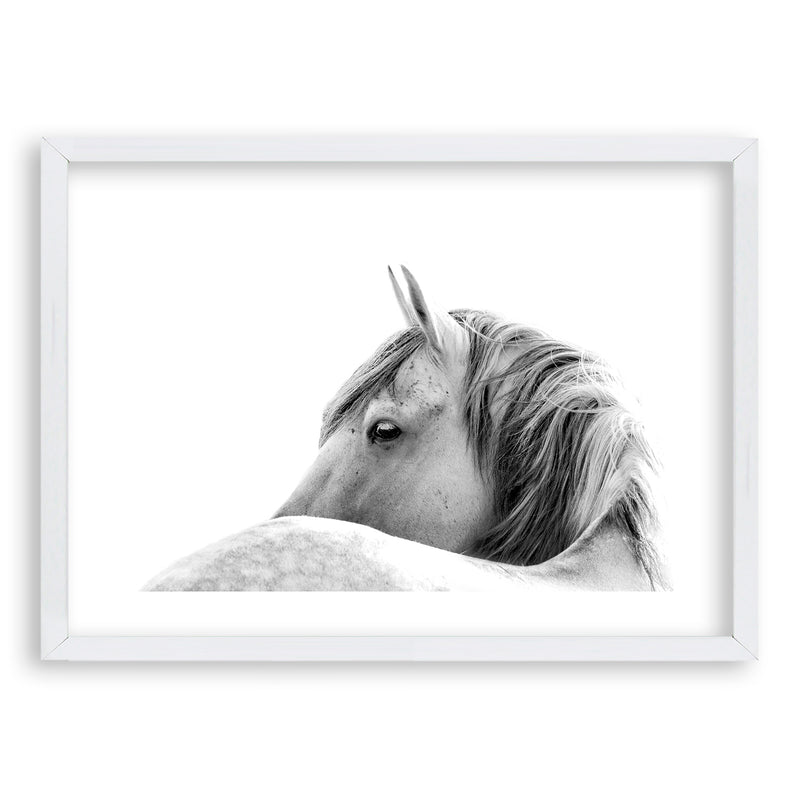 Cuadro White Horse