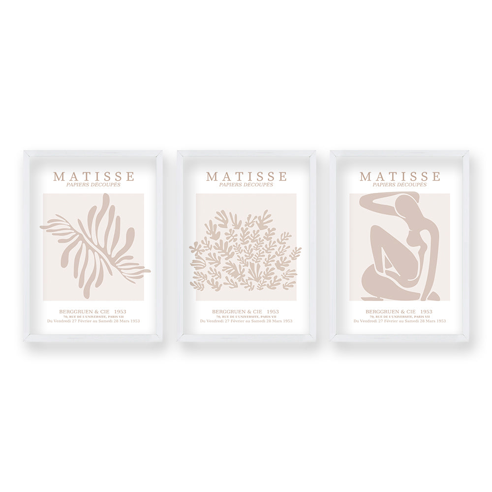 Cuadro Trio Matisse Rose