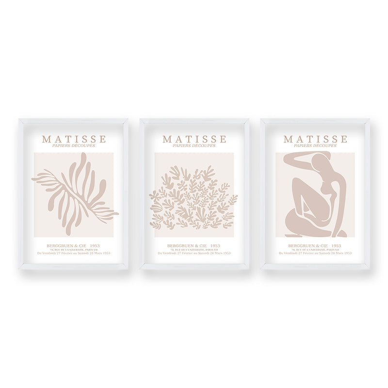 Cuadro Trio Matisse Rose