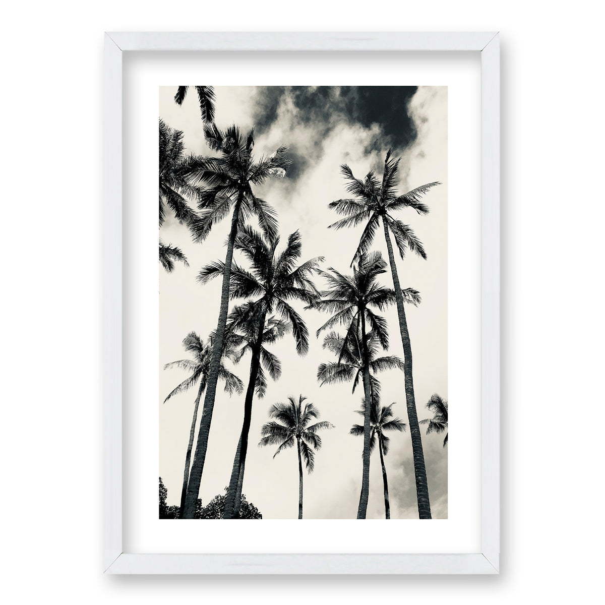 Cuadro Palmera Nocturna II