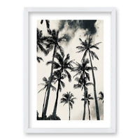 Cuadro Palmera Nocturna II