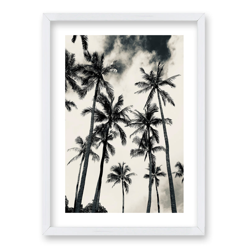 Cuadro Palmera Nocturna II