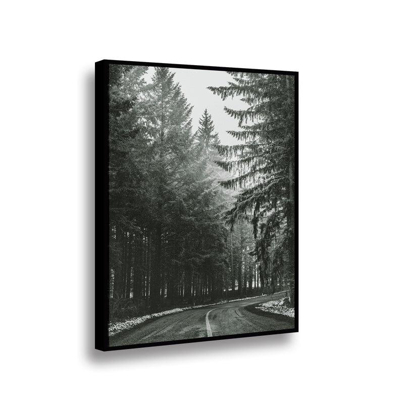 Canvas Bosque BN2