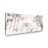 Canvas Diente de León I