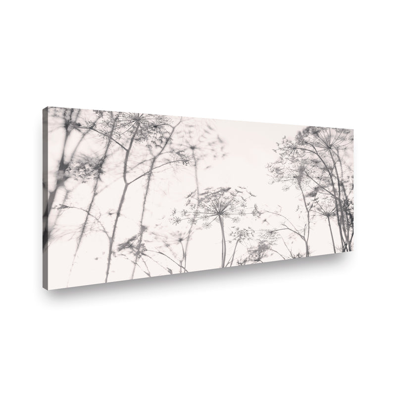 Canvas Diente de León I