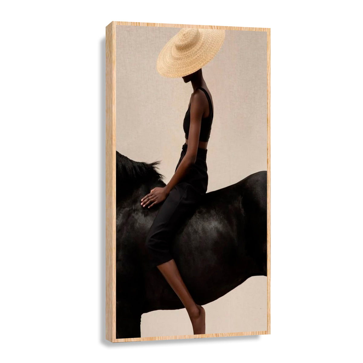 Canvas Caballo Negro