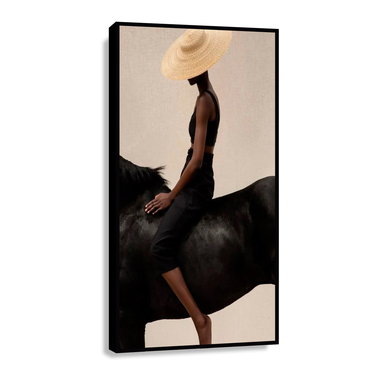 Canvas Caballo Negro