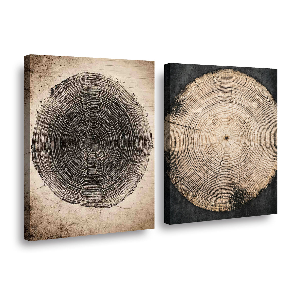 Canvas duo Marca de árbol