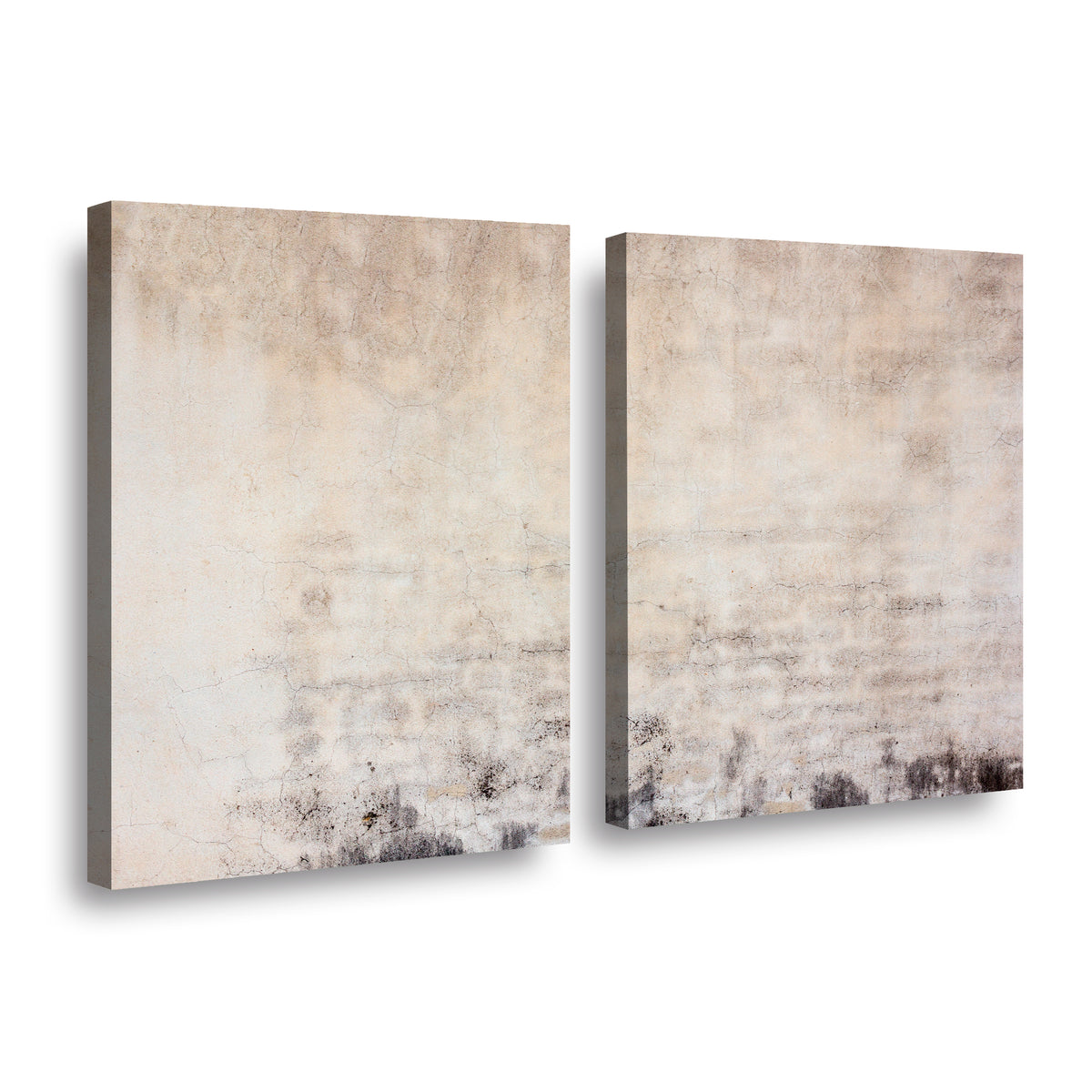 Canvas duo Desvanecido